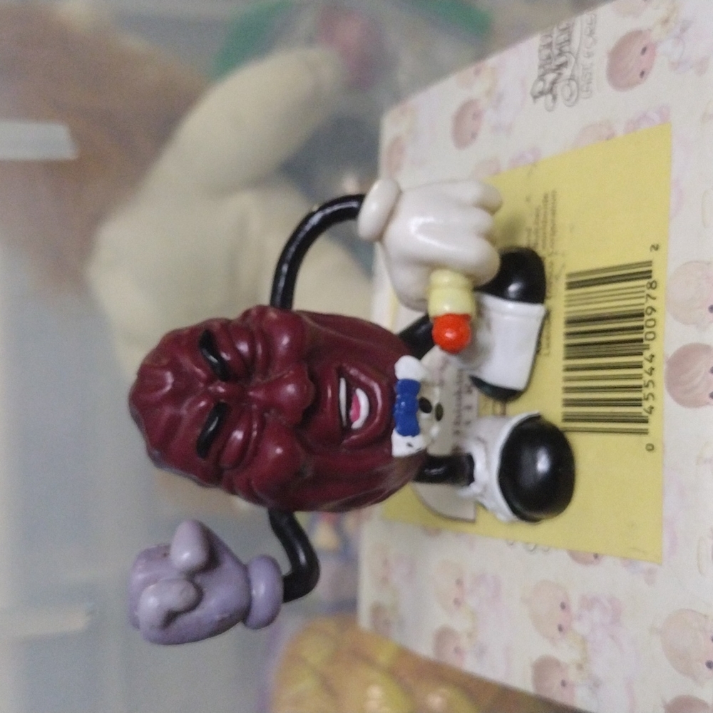 California raisin